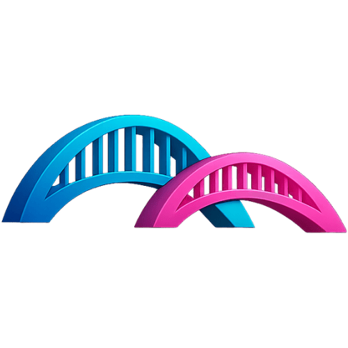 Bridges 2 Advocacy